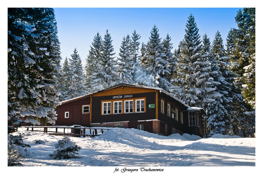 G_Truchanowicz (31)M